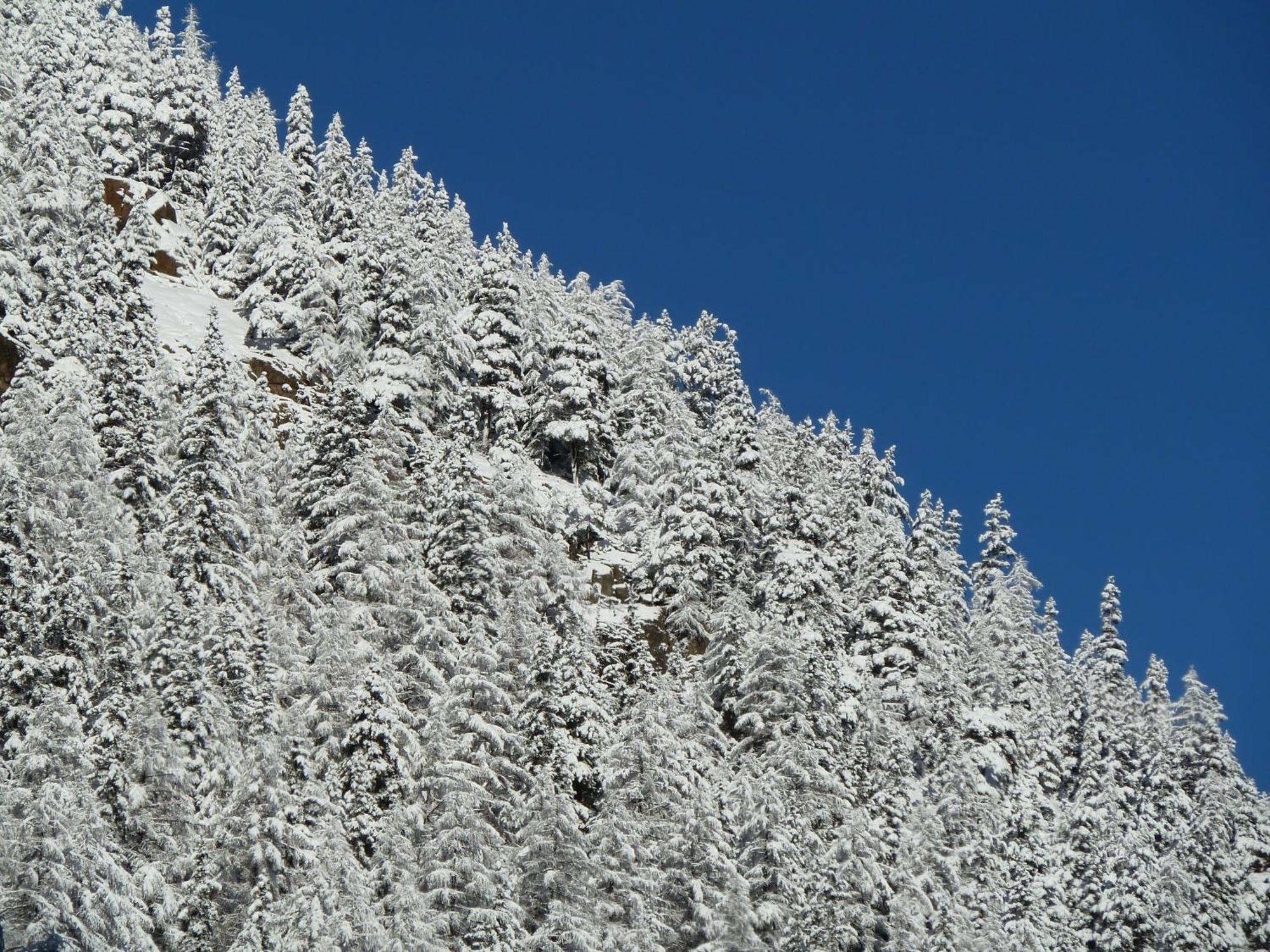 Appartement Gurgl Obergurgl Exterior foto